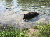 Chiara  Immer noch eine Wasserratte!